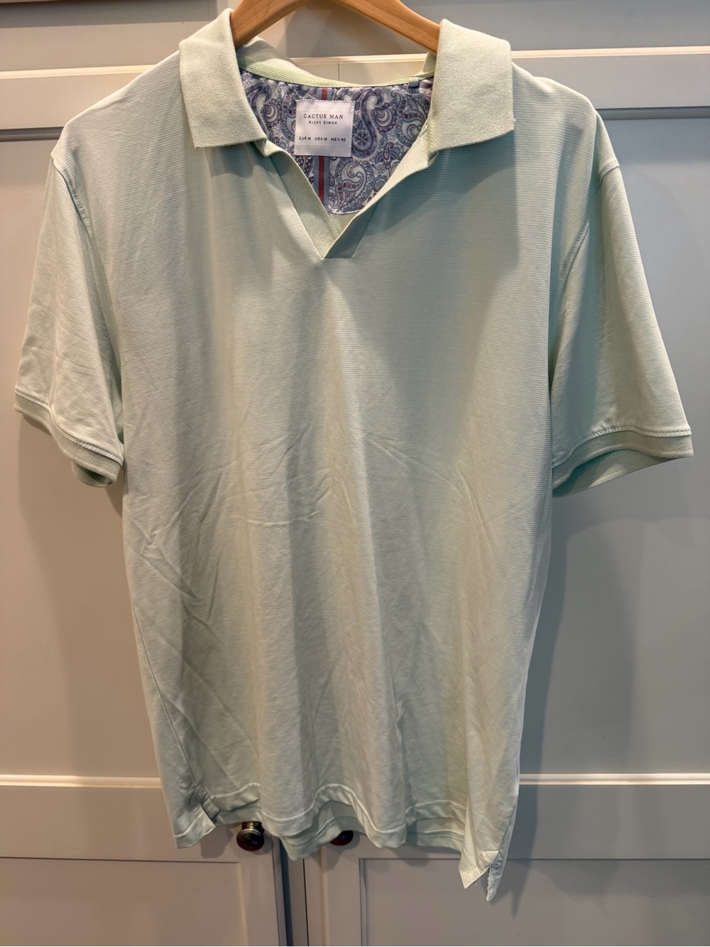 Cactus Men's Mint Green Polo with Open V Collar